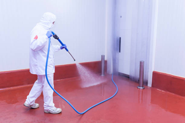 Boat and Dock Cleaning in Marble Falls, TX